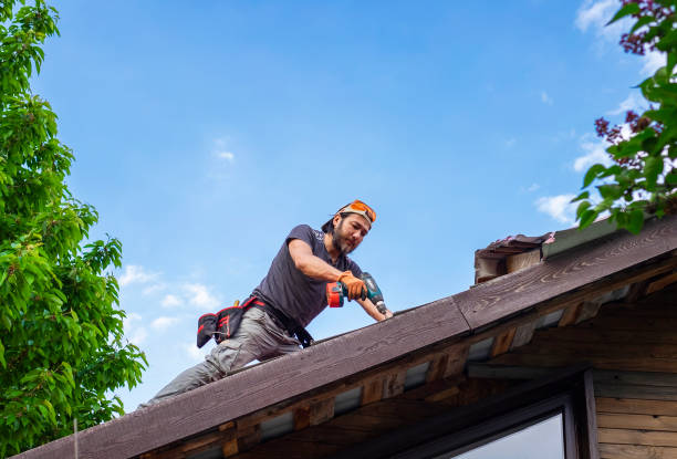 Professional Roofing service in Presquille, LA