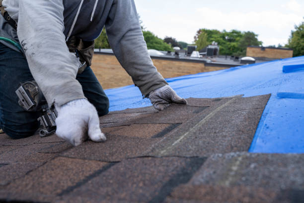 Steel Roofing